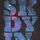 Skullcandy T-shirt - Galaxy - Black