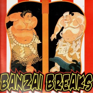 DJ $hin - Banzai breaks - LP